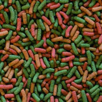 Корм для черепах Tropical Biorept W для земноводних і водних черепах 67 мл/20 г (5900469113417) Вінниця