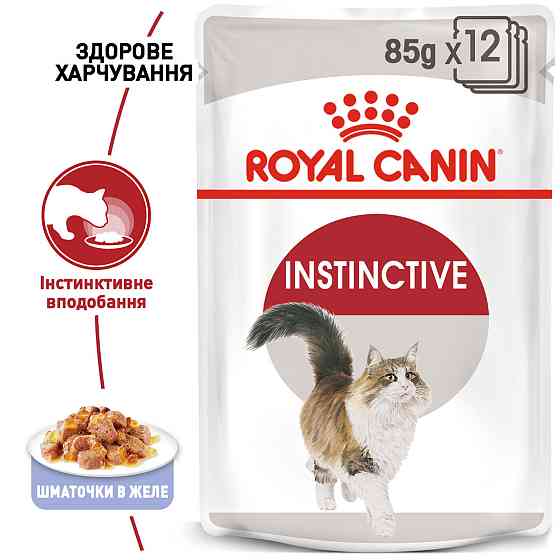 Вологий корм для дорослих котів ROYAL CANIN INSTINCTIVE IN JELLY 0.085 кг Київ
