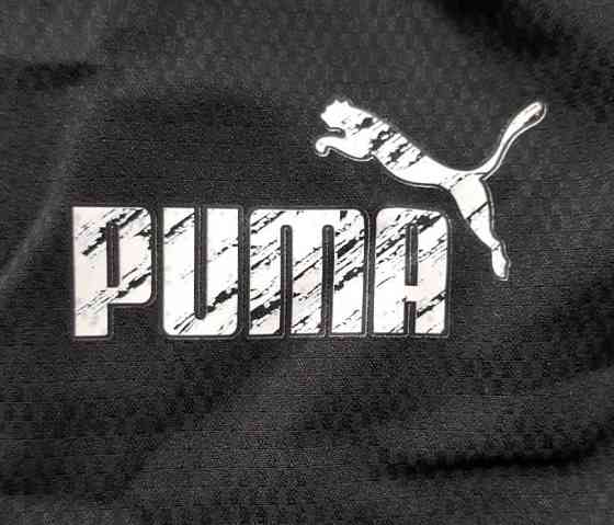 Мужские батальные шорты для купания Puma Киев