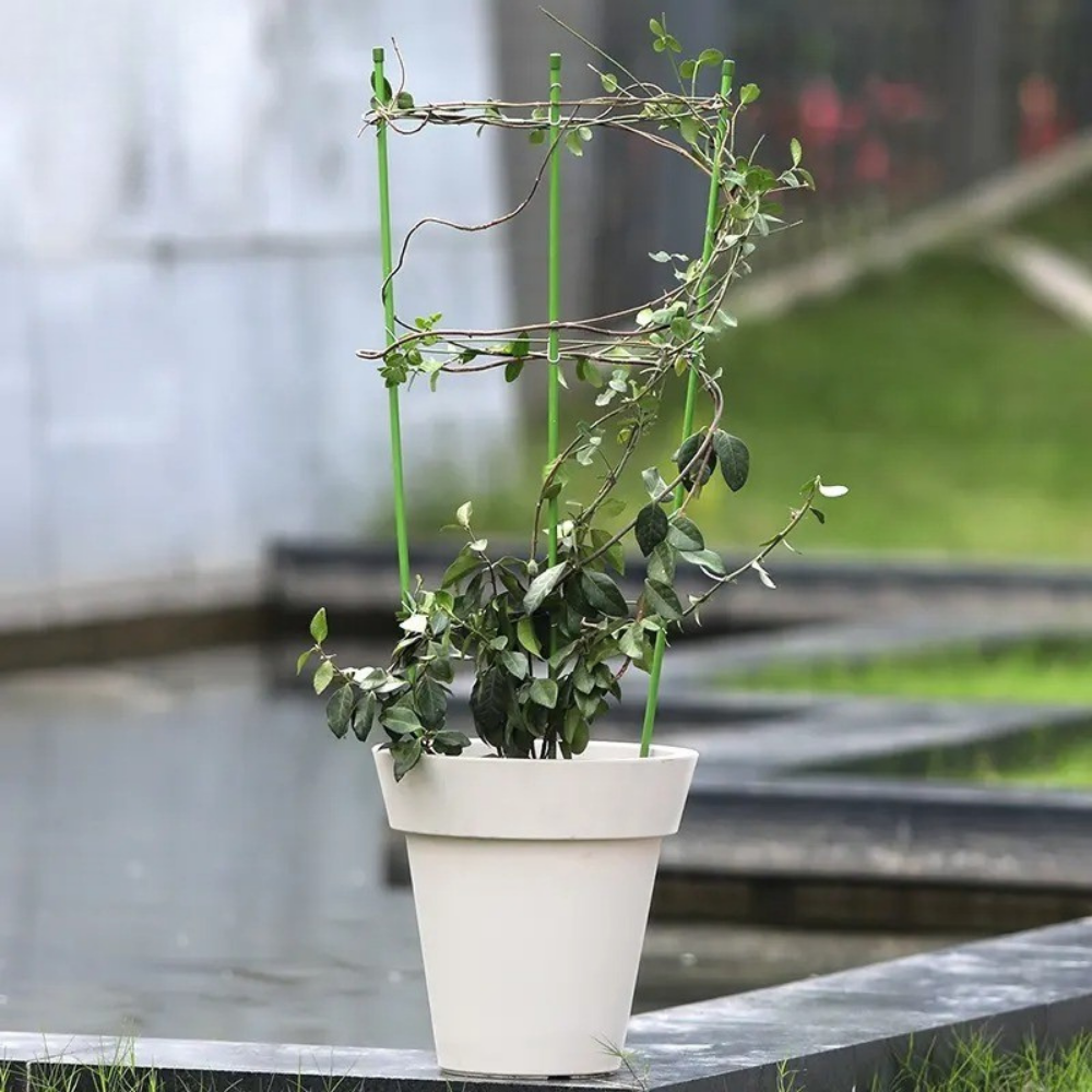 Опора кольцевая для комнатных и садовых высокорослых цветов,растений и рассады с 3 кольцами размер 60х22 см Каменец-Подольский - изображение 5