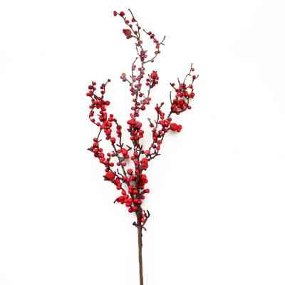 Украшение декоративное YES! Fun Ветка с красными ягодами заснеженная, 98 см (973489) Винница