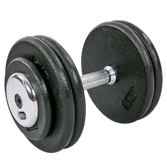 Гантель 25 кг цільна професійна RECORD-7231-25 Київ