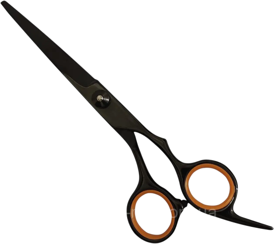 Ножиці перукарські JAGUAR 5.5* Київ