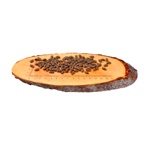 Корм сухой Carnilove Cat Sensitive and Long Hair для длинношерстных кошек с чувствительным пищеварением с лососем 2 кг Киев