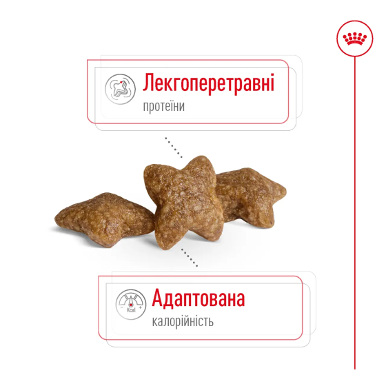 Royal Canin Mini Adult (Рояв Канін Міні Едалт) сухий корм для маленьких дорослих собак 4-10 кілограм від 10 місяців 8 кілограмів. Запоріжжя