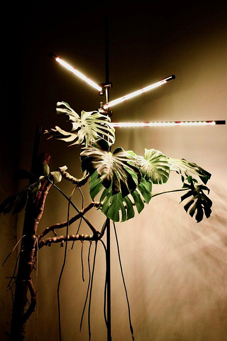 Підлоговий світильник для кімнатних рослин і декору IO-3 Бориспіль - фото 4