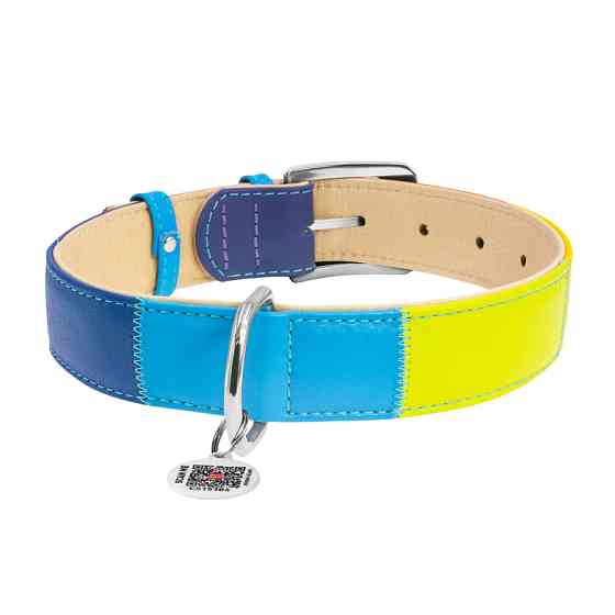 Нашийник для собак шкіряний WAUDOG Glamour з QR паспортом, "Веселка", L, Ш 25 мм, Дов 38-49 см Коломыя