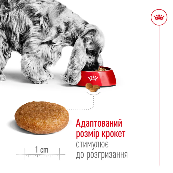 Royal Canin Medium Adult (Рояв Канін Медіум) сухий корм для дорослих середніх собак 11-25 кілограм від 12 міс 4 кг. Запоріжжя