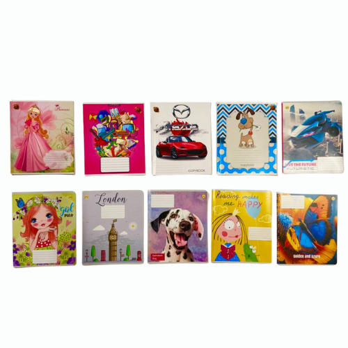 Комплект зошитів для дівчинки: 5 шт у клітинку + 5 шт у лінію, 12 аркушів Київ