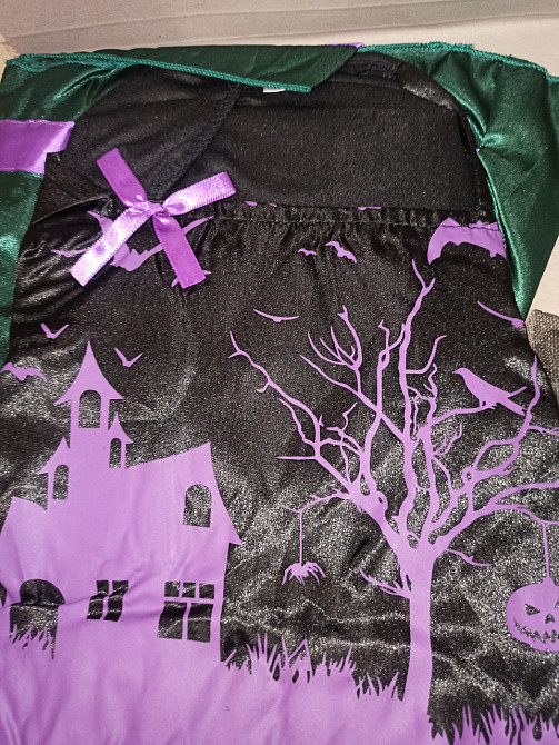 Сукня дитяча Відьма з капелюшком на Хелловін розмір M 7-10 років зелено-фіолетове Київ - фото 4