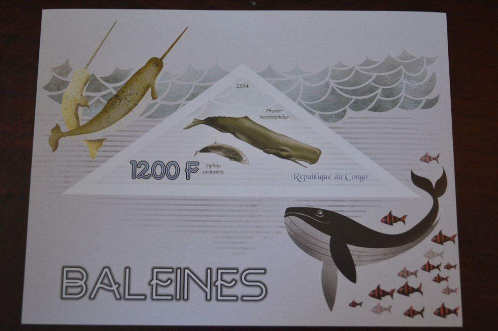 Конго. Фауна. Личности. Блок. 2014 р. (А-34) Полтава - фото 1