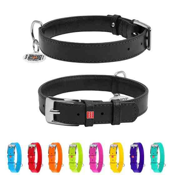 Нашийник для собак шкіряний WAUDOG Glamour з QR паспортом, без прикрас, M, Ш 20 мм, Дов 30-39 с Коломыя