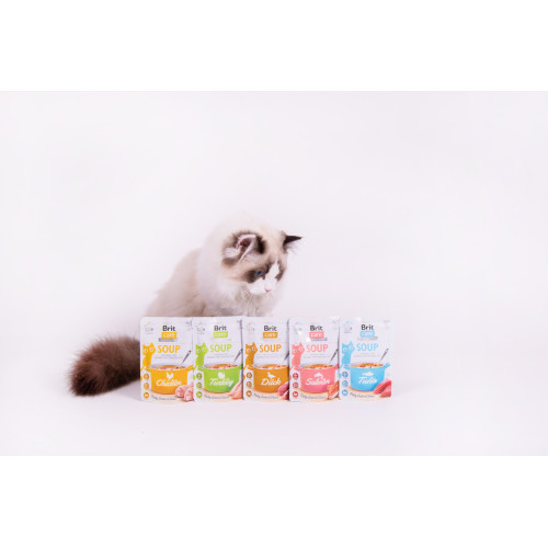 Корм вологий Brit Care Soup Salmon д/котів суп з лососем 75 г Київ - фото 5
