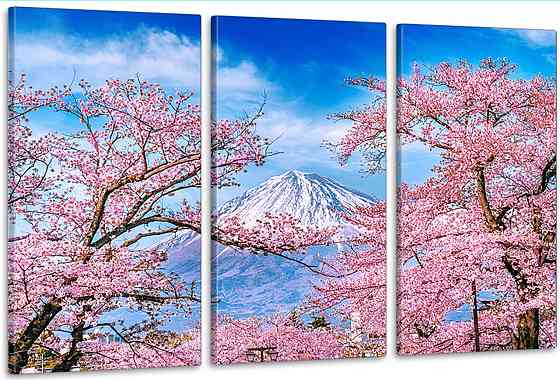 Модульная картина в гостиную / спальню  Сакура     ART-253_3A 100х150 см Киев