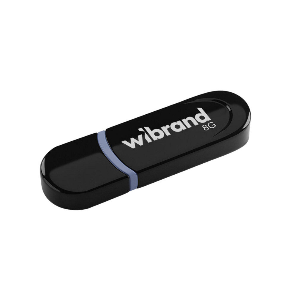 Flash Wibrand USB 2.0 Panther 8Gb Black (WI2.0/PA8P2B) Киев - изображение 1