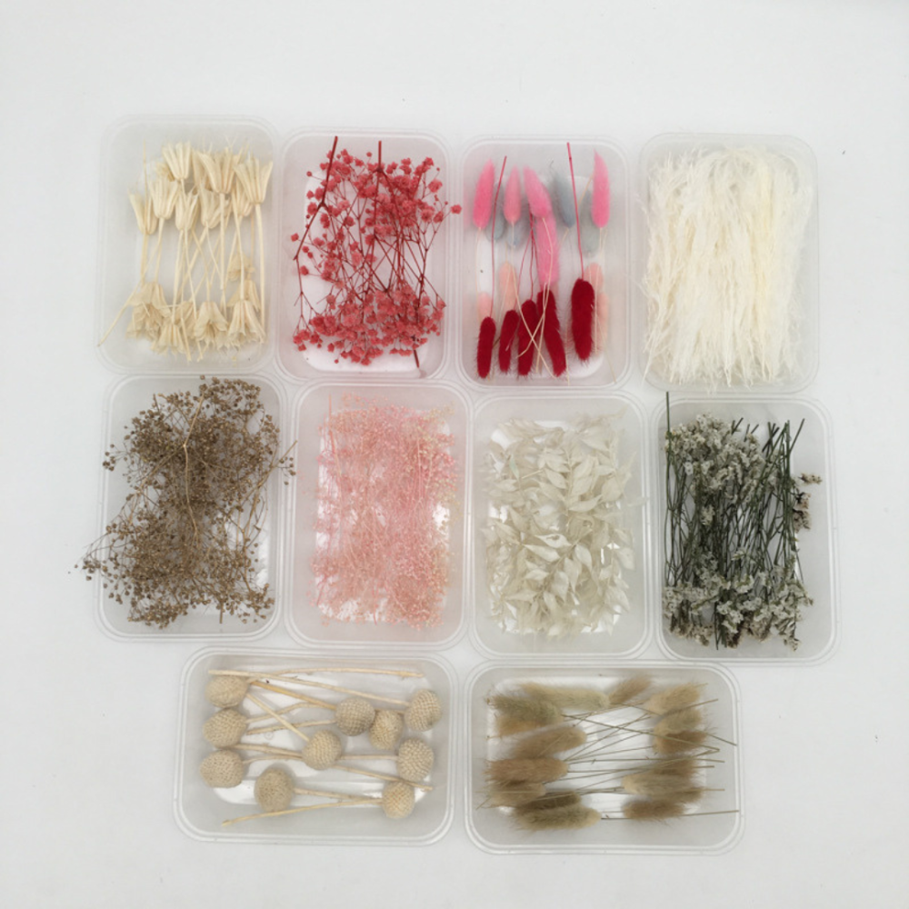 Стабилизированные ветки и цветы для мини-сада, микроландшафта, цветочных композиций, флорариума Красный Одесса - изображение 2