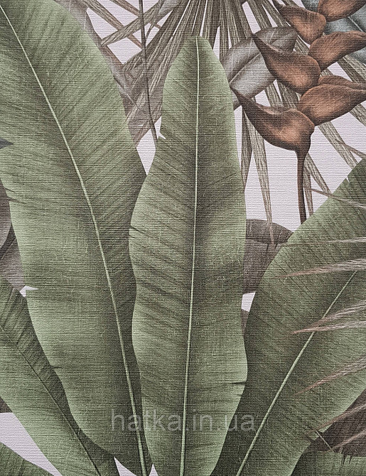 Шпалери вінілові на флізеліні AS creation Della Natura метрові 1.06Х10 листя банана пальми зелені салатові Київ - фото 2