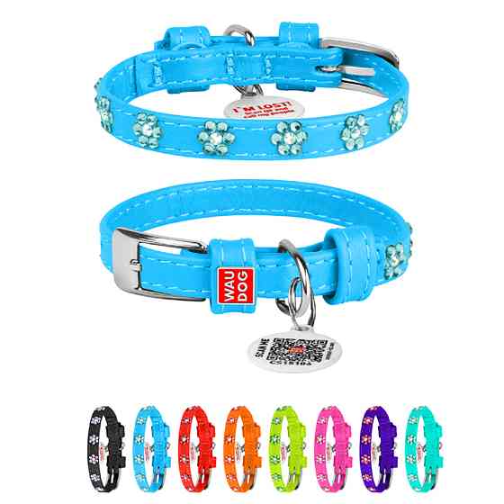 Нашийник для собак шкіряний WAUDOG Glamour з QR паспортом, з клейовими стразами "Квіти", Ш 12 м Коломыя