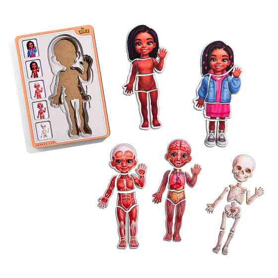 Дерев'яний пазл-вкладиш "Анатомія людини - дівчинка-3" (ПСД264) PSD264 будова тіла Вінниця