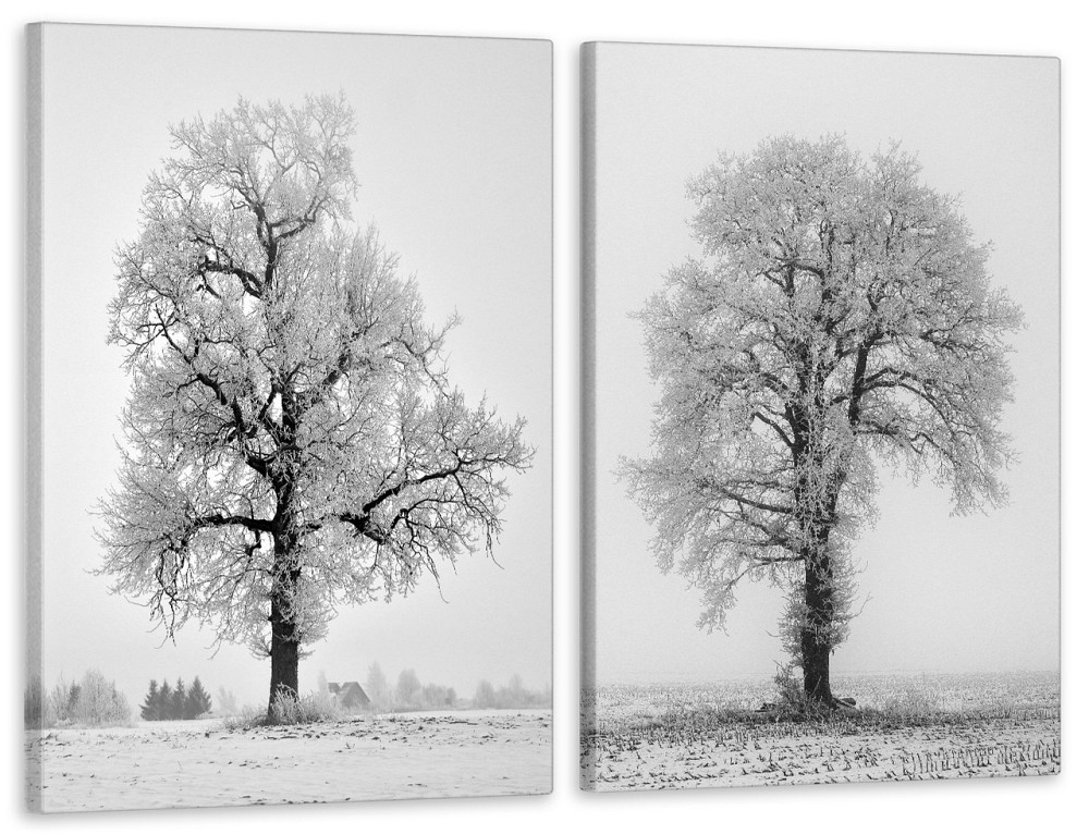 Модульная картина в гостиную / спальню  Дерева TLV-2_041 Киев - изображение 1