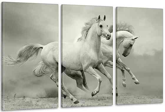 Модульная картина Природа Лошади  (53x100см)   Аrt-125_3А 100x150 см Киев
