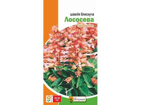 Шалфей низкий блестящий Лососевый (20 пачек) 0.1г ТМ ЯСКРАВА Киев