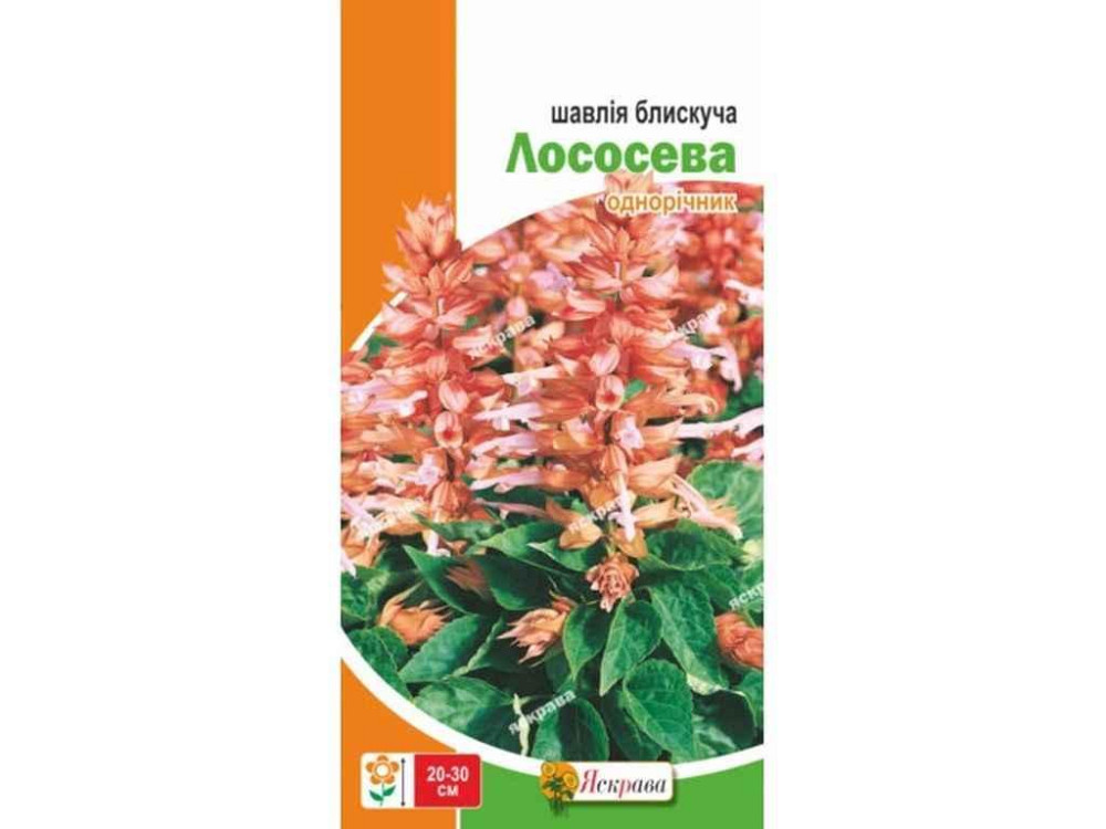 Шалфей низкий блестящий Лососевый (20 пачек) 0.1г ТМ ЯСКРАВА Киев - изображение 1