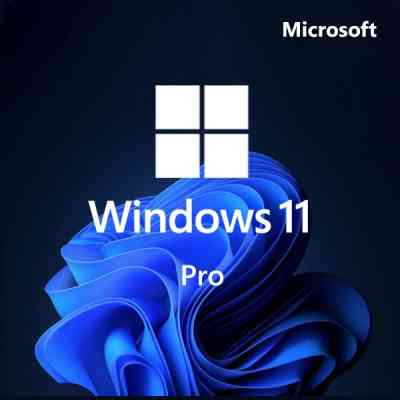 Операционная система Microsoft Win Pro 11 64-bit All Lng PK Lic Online DwnLd NR (FQC-10572) Винница