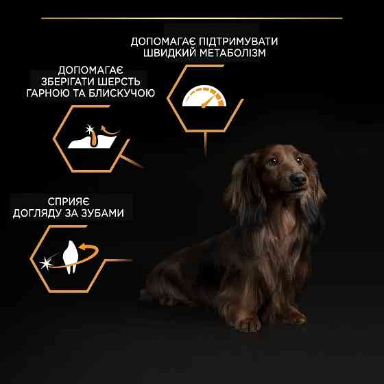 Сухий корм PRO PLAN Small&Mini Adult 1+ Everyday Nutrion для дорослих собак дрібних порід, з куркою, 3 кг Київ