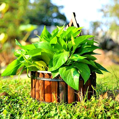 Полка настенная для цветов 