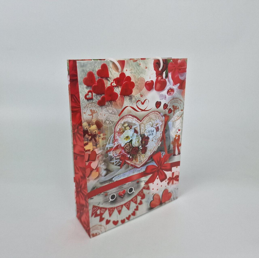 Великий паперовий пакет вертикальний 25/37/8 (артBV-006) (12 шт.) Харків - фото 1