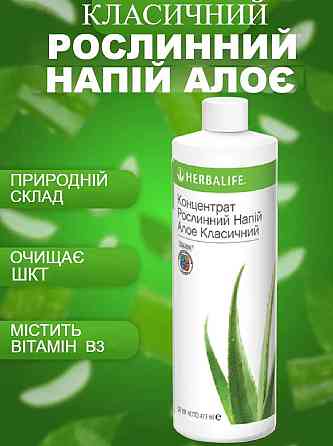 Алое класичний Рослинний концентрат Гербалайф Напій для Травлення, 473 мл Напій на Основі Алое Дніпро