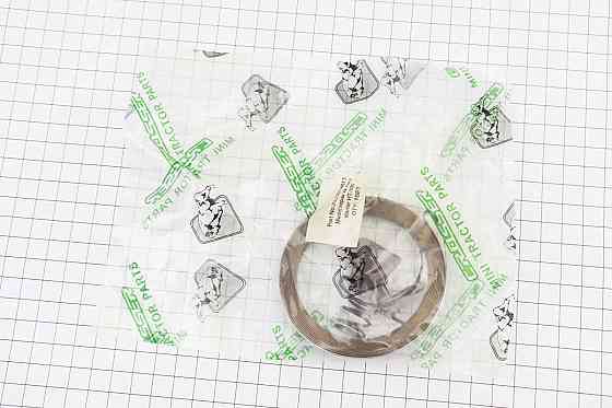 Ремонтний комплект ручного стартера (кулачок-1шт, пружина-2шт) 178F Київ