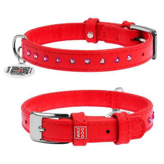 Нашийник для собак шкіряний WAUDOG Glamour з QR паспортом, з клейовими стразами, Ш 12 мм, Дов 2 Коломыя