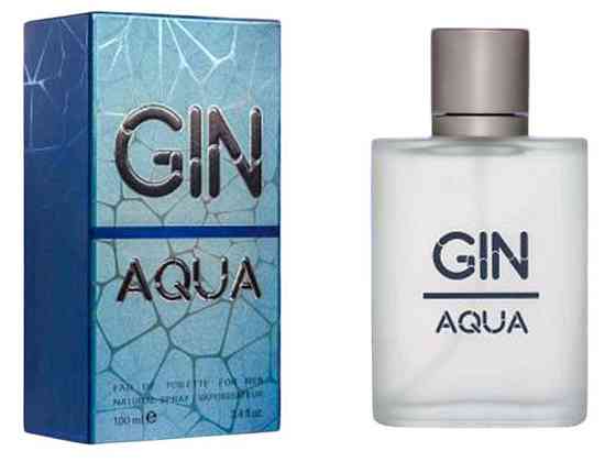 Туалетна вода Gin Aqua 100 мл ТМ Аромат Solmir Київ