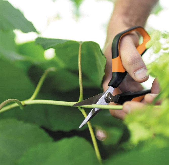 Садовые Ножницы 21 см Fiskars 