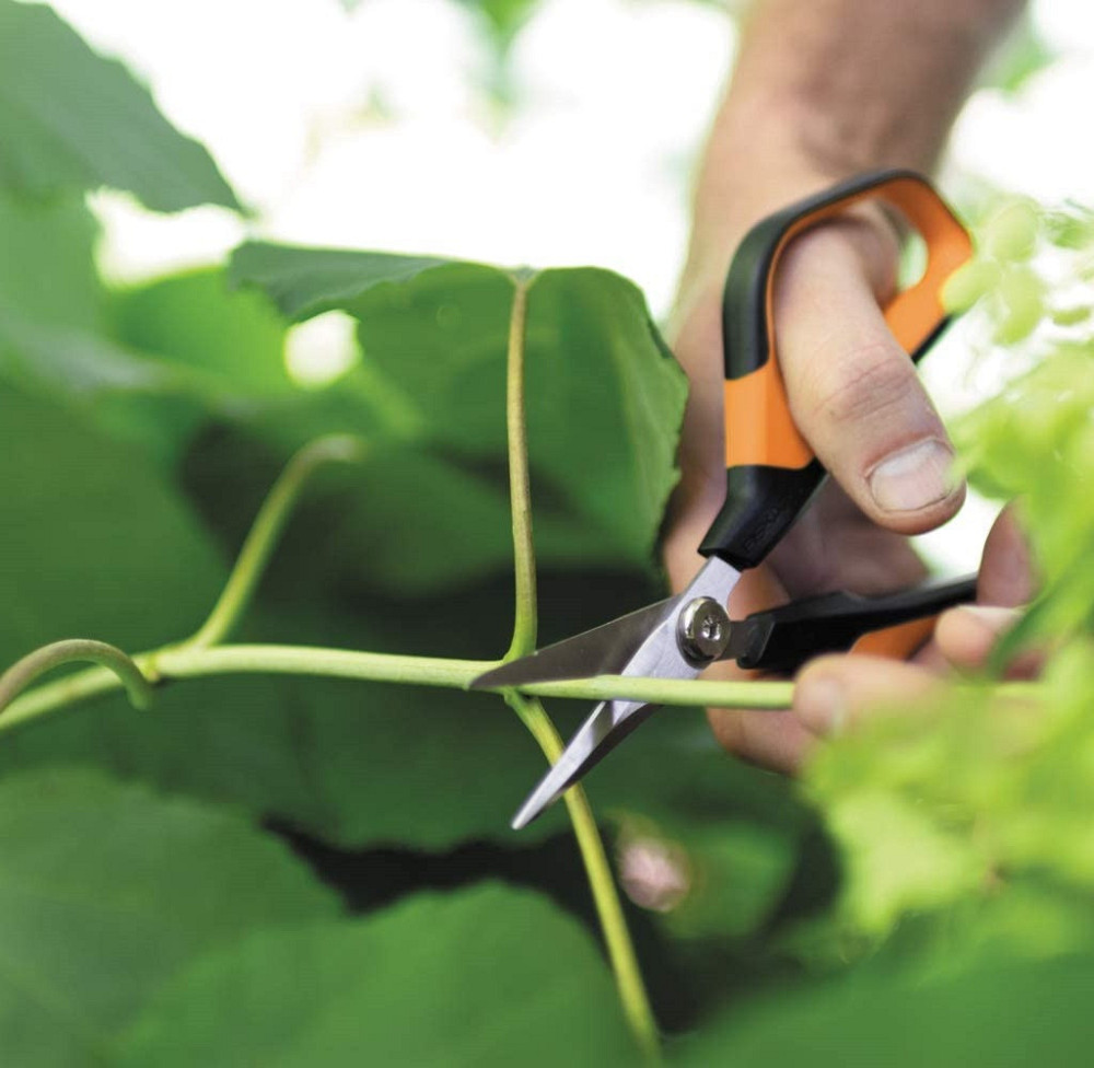 Садові Ножиці 21 см Fiskars "Solid Softgrip "SP15" (1051602) Нержавіюча сталь Нововолинськ - фото 6