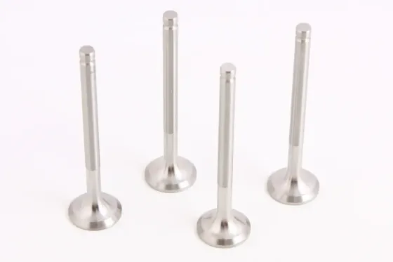 Клапана Таврия RAF выпускные (4 шт.) Винница