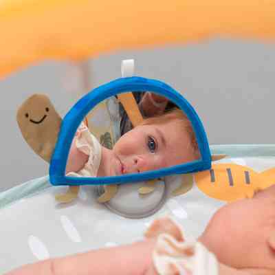 Дитячий килимок Taf Toys музичний з дугами - Пригоди на 360° (12785) Вінниця