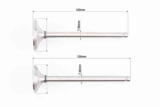 Клапан впускний (h-120; D-42; d-7,95), випускний (h-120; D-36; d-7,95) к-кт R195NM Киев