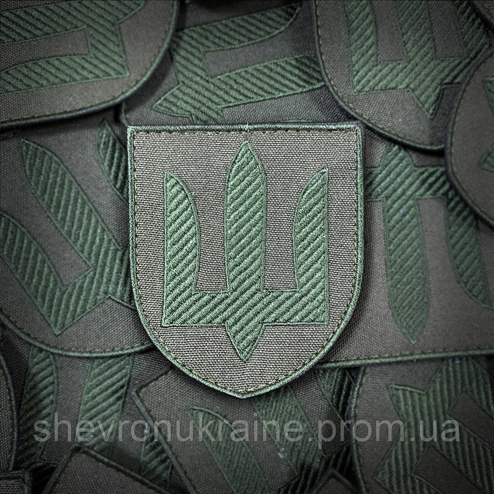 Шеврон Сухопутные войска олива (Форма щит. На липучке) Размер 8x7см Киев - изображение 1