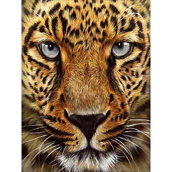 Алмазна мозаїка без підрамника "Гепард" JSDF79613 30х40 см Вінниця
