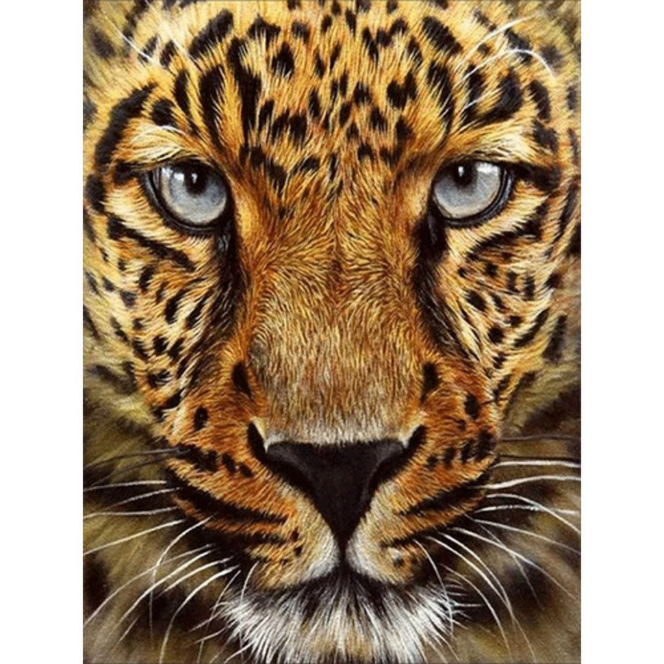 Алмазна мозаїка без підрамника "Гепард" JSDF79613 30х40 см Вінниця - фото 1