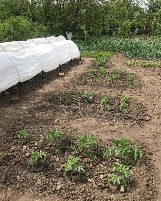 Парник 10 м 60 щільність теплиці з агроволокна Shadow( парник для огірків) Дніпро - фото 7