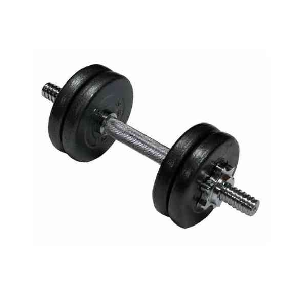 Гантель наборная литая 1шт 10 кг TI-968-747 Винница