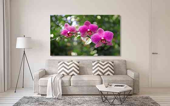 Картина холст в гостиную / спальню Рожева Орхідея   MLP_93 50x100 см Киев