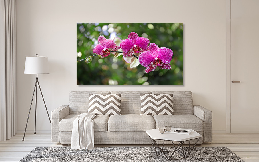 Картина холст в гостиную / спальню Рожева Орхідея   MLP_93 50x100 см Киев - изображение 2