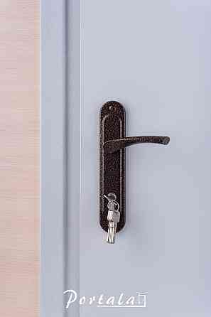 Двери технические, ЕИ30, серая шагрень,на трубе Киев