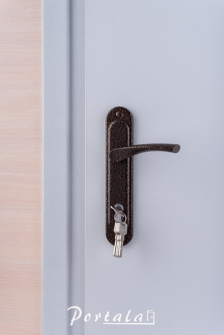 Двері технічні, ЕИ30, сіра шагрень,на трубі Київ - фото 2