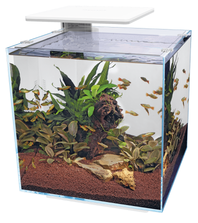 Аквариумный набор SuperFish QubiQ 60 LED White (A4050900) Киев